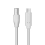 LogiLink Type-C Cable to USB-B 1m CU0160