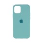 Iphone 11 Pro Max case mint*