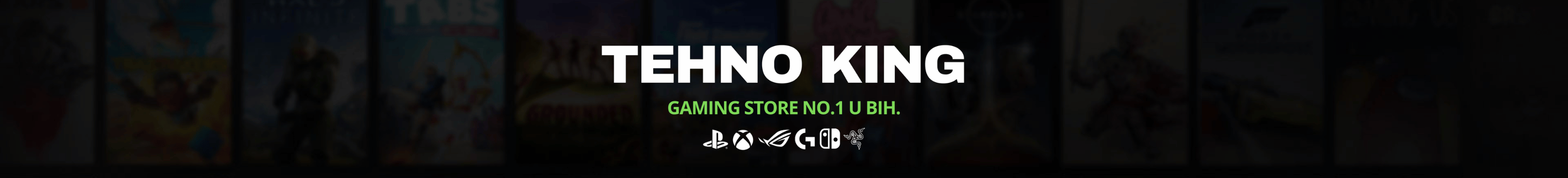 TehnoKing