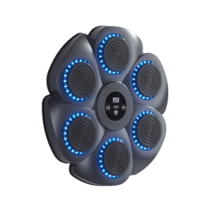 XO SF-02 Musical Boxing Target RGB